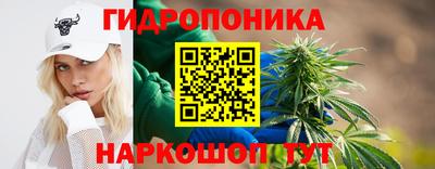 спиды Гатчина