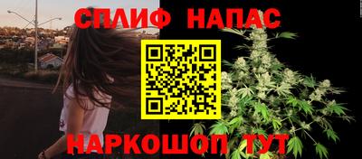 spice Гагарин