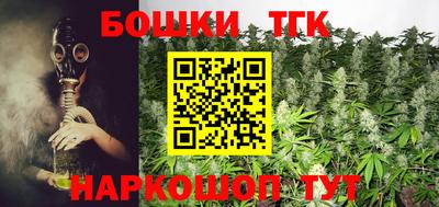 спиды Гатчина