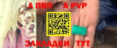 спиды Гатчина